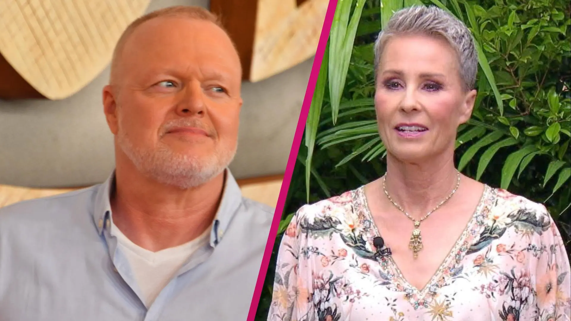 stefan raab frau